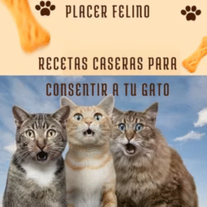 Placer Felino: Recetas caseras para consentir a tu Gato 2025. (eBook)